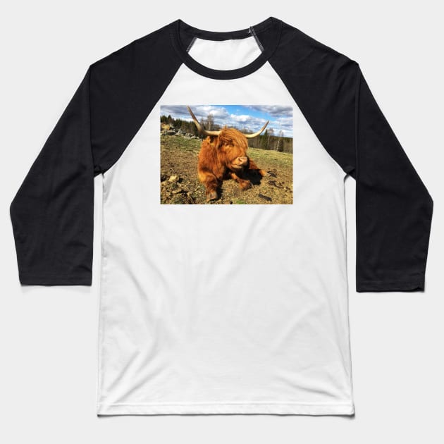 Scottish Highland Cattle Cow 2375 Baseball T-Shirt by SaarelaHighland